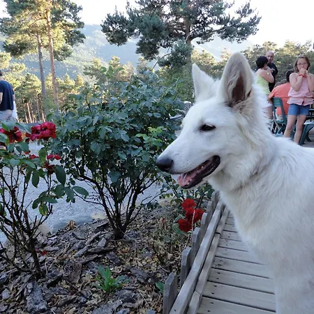 Parc Résidentiel De Loisir : Le Loup Blanc Du Riou Village de vacances